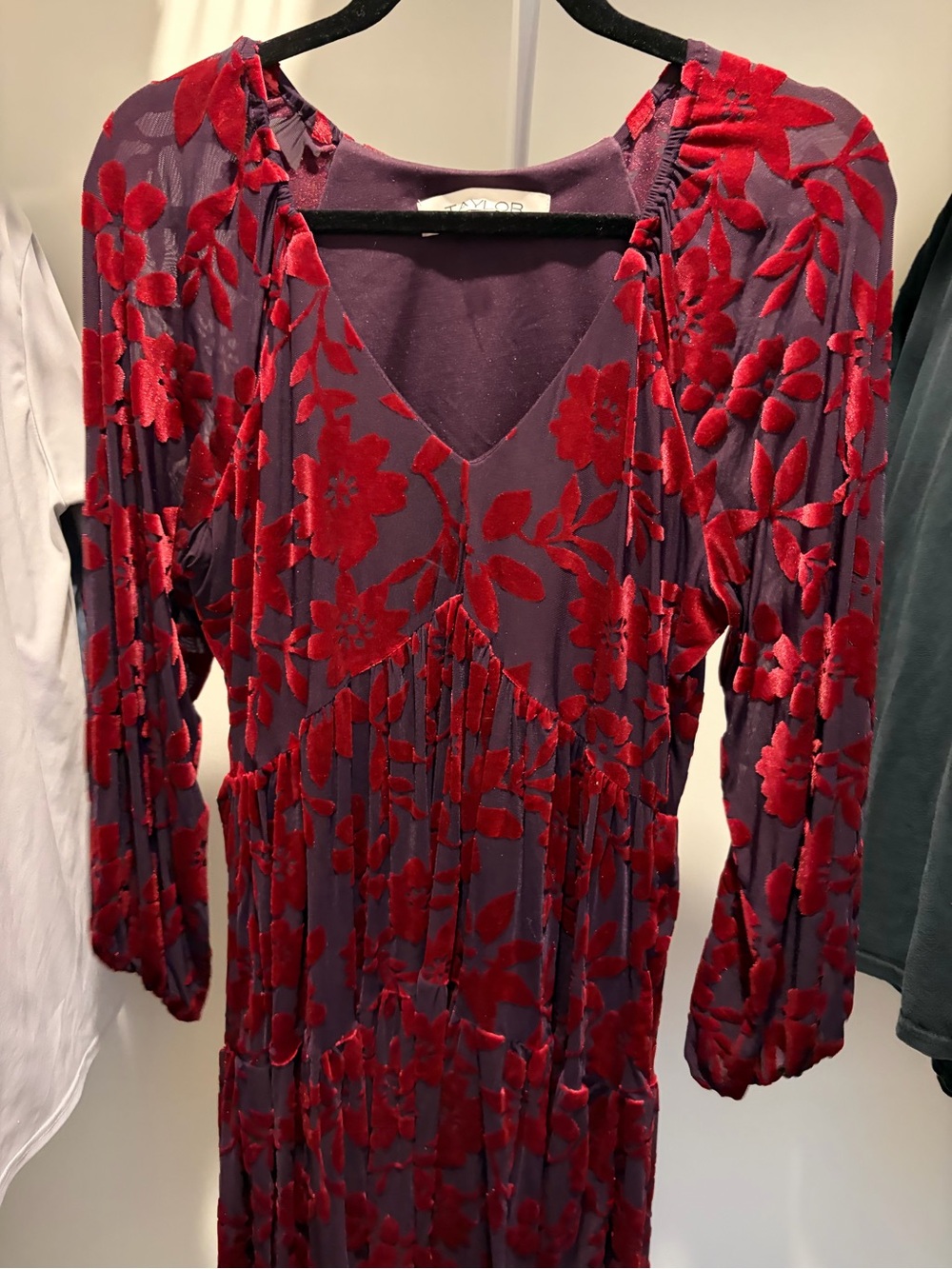 Taylor Plum Dress with Red Floral Velvet Burnout